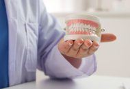 Dentist holding model of teeth.